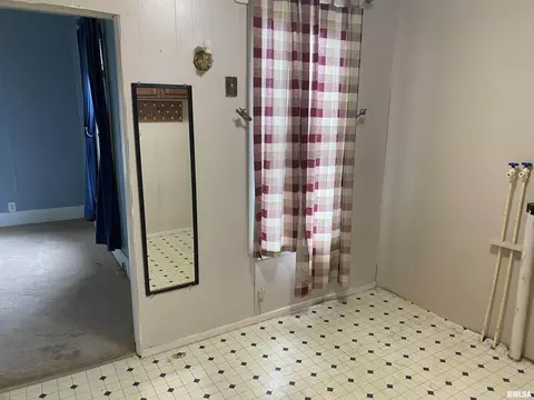 1052 E Walnut St, Canton, IL 61520 photo 18