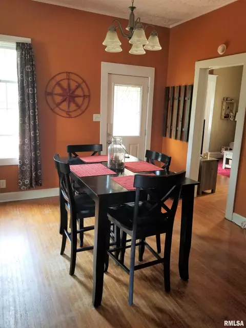 243 E Olive St, Canton, IL 61520 photo 7
