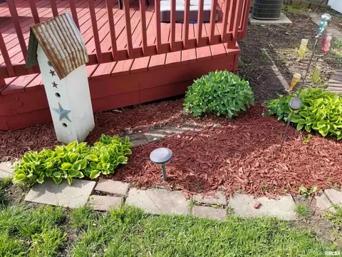 243 E Olive St, Canton, IL 61520 photo 33
