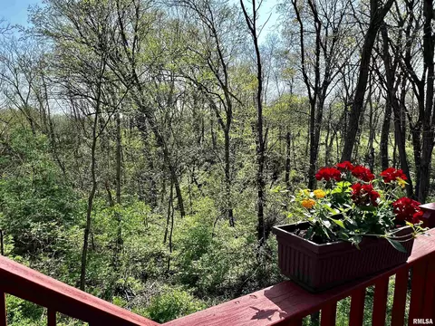 10600 E 1000th St, Macomb, IL 61455 photo 33
