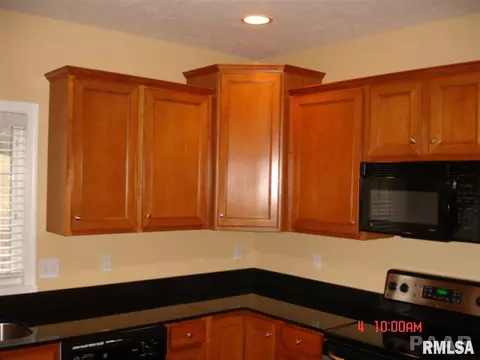 11501 N Ballymore Ave, Dunlap, IL 61525 photo 9