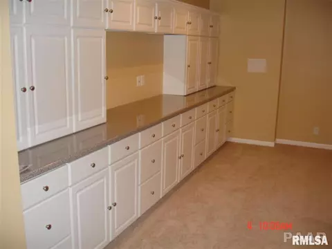 11501 N Ballymore Ave, Dunlap, IL 61525 photo 25