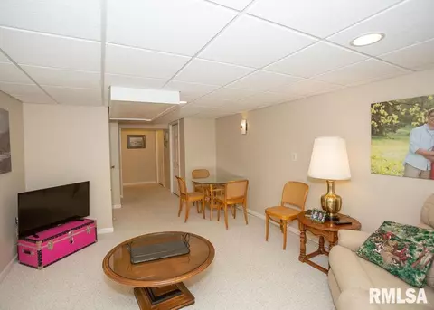 309 W Gloria Dr, Eureka, IL 61530 photo 42