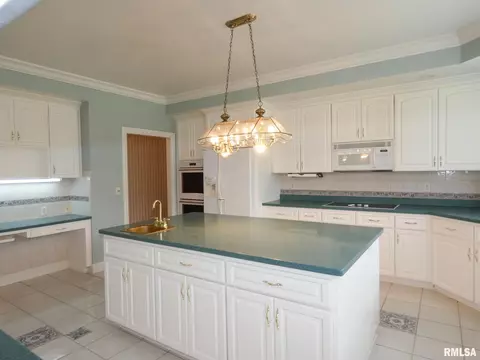 5802 W Saddlebrook Ct, Edwards, IL 61528 photo 15