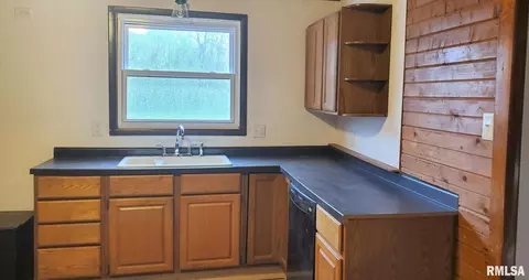 102 Stanley St, Bryant, IL 61519 photo 5