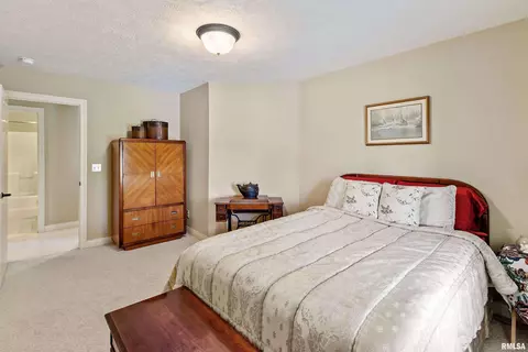 11011 N Moonstone Ct, Dunlap, IL 61525 photo 28