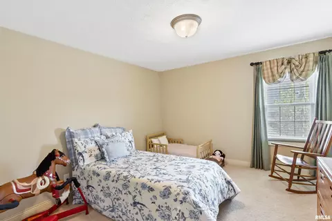 11011 N Moonstone Ct, Dunlap, IL 61525 photo 31