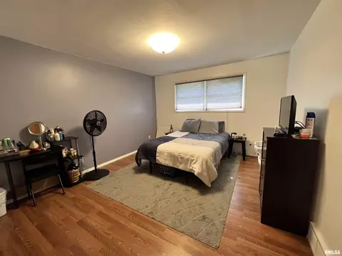 715 E Willcox Ave, Peoria, IL 61603 photo 8