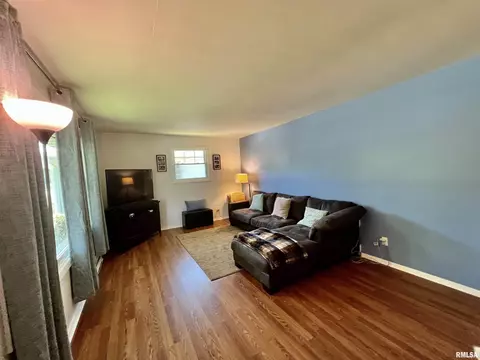 715 E Willcox Ave, Peoria, IL 61603 photo 3