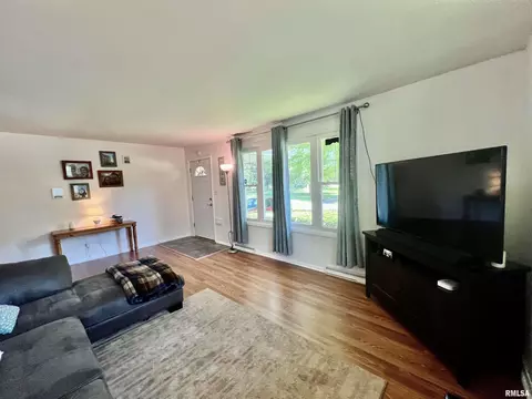 715 E Willcox Ave, Peoria, IL 61603 photo 4