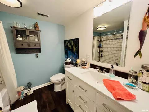 20 Hickory Bow, Macomb, IL 61455 photo 44