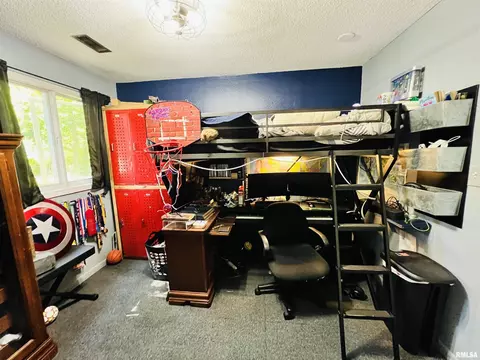 20 Hickory Bow, Macomb, IL 61455 photo 37