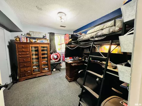 20 Hickory Bow, Macomb, IL 61455 photo 36