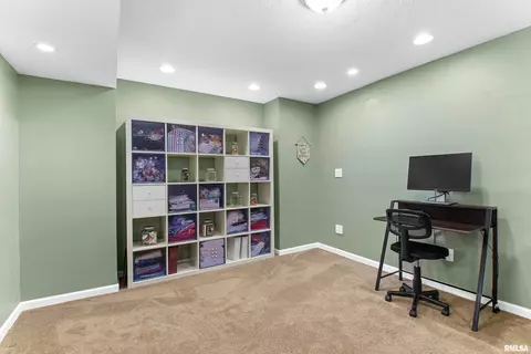 5515 W Barberry Ct, Edwards, IL 61528 photo 35