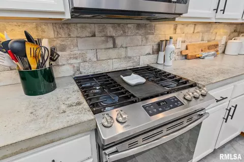 1502 Noel Dr, Metamora, IL 61548 photo 11