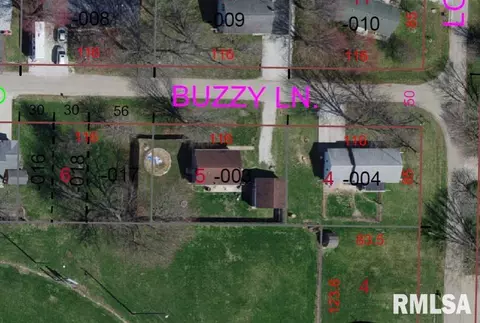 231 Buzzy Ln, Ipava, IL 61441 photo 15