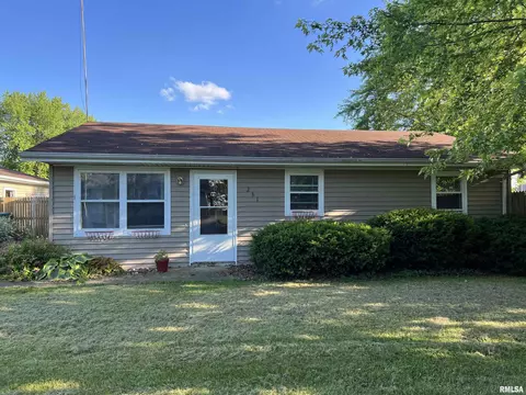 231 Buzzy Ln, Ipava, IL 61441 photo 1