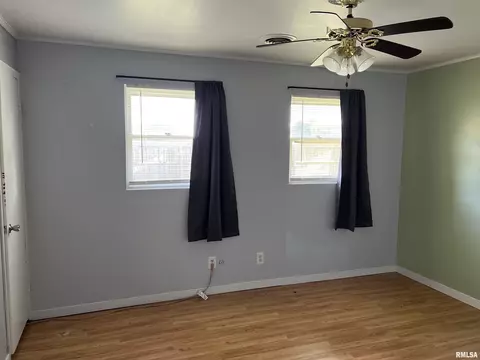 231 Buzzy Ln, Ipava, IL 61441 photo 22