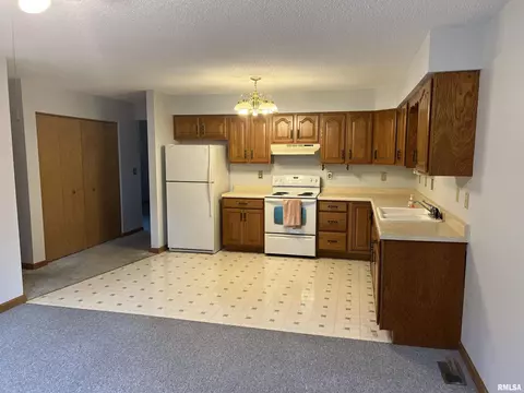 1643 E Myrtle St, Canton, IL 61520 photo 3