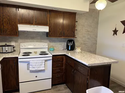 127 7th St, Dunfermline, IL 61524 photo 11