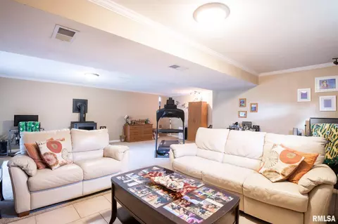 9921 W Buckhaven Ct, Mapleton, IL 61547 photo 41