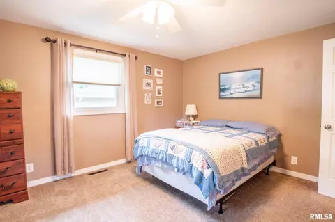 9921 W Buckhaven Ct, Mapleton, IL 61547 photo 34