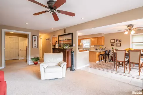 9921 W Buckhaven Ct, Mapleton, IL 61547 photo 13