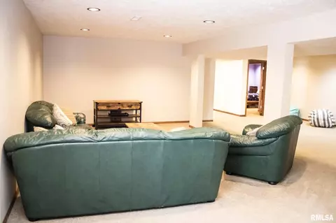 904 Dennis Dr, Eureka, IL 61530 photo 43