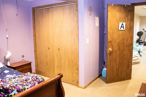 904 Dennis Dr, Eureka, IL 61530 photo 56