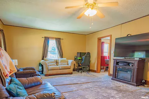 718 N Walnut St, Minonk, IL 61760 photo 3