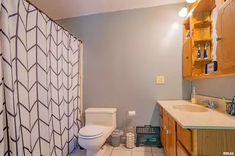 718 N Walnut St, Minonk, IL 61760 photo 11