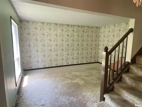 50 Painter Ln, Macomb, IL 61455 photo 9