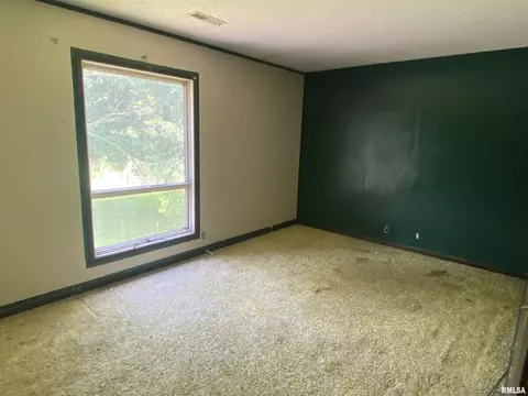 50 Painter Ln, Macomb, IL 61455 photo 25