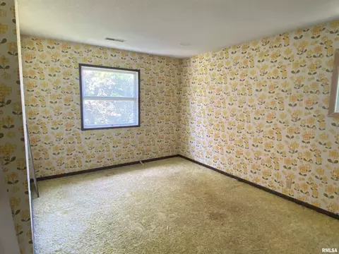 50 Painter Ln, Macomb, IL 61455 photo 27