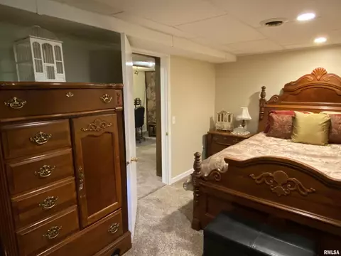 530 Flint Rd, Macomb, IL 61455 photo 37