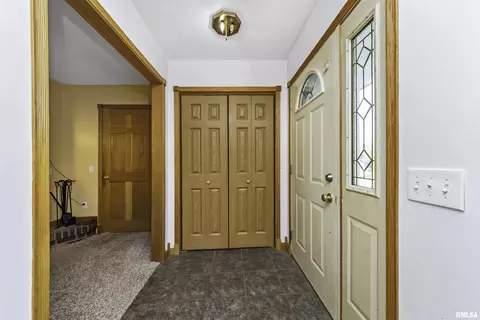 8810 N Willow Dr, Edwards, IL 61528 photo 13