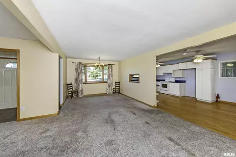 8810 N Willow Dr, Edwards, IL 61528 photo 18