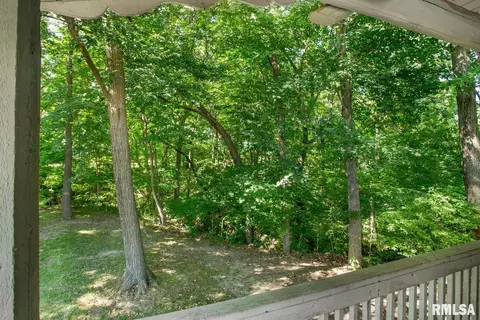 354 Grimm Rd, Congerville, IL 61729 photo 45