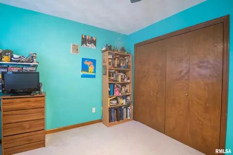 10503 W Merlin Ct, Mapleton, IL 61547 photo 28