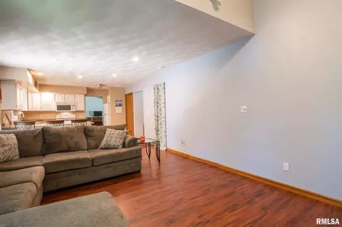 10503 W Merlin Ct, Mapleton, IL 61547 photo 9