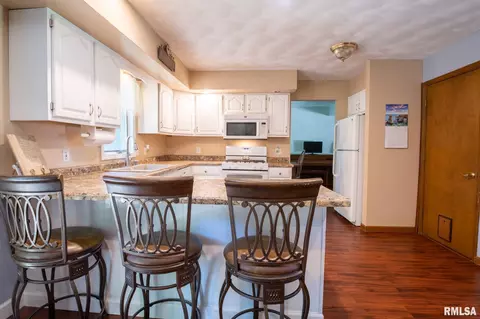 10503 W Merlin Ct, Mapleton, IL 61547 photo 10