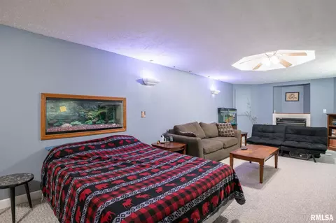 10503 W Merlin Ct, Mapleton, IL 61547 photo 35