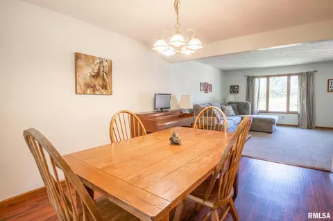 10503 W Merlin Ct, Mapleton, IL 61547 photo 19