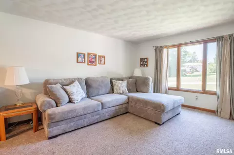 10503 W Merlin Ct, Mapleton, IL 61547 photo 20