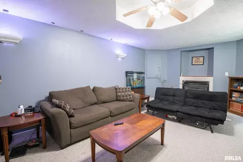 10503 W Merlin Ct, Mapleton, IL 61547 photo 36