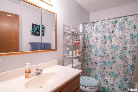 10503 W Merlin Ct, Mapleton, IL 61547 photo 30