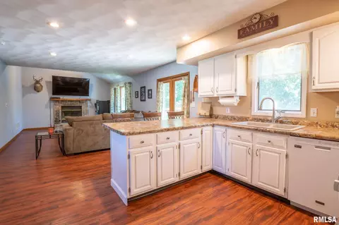 10503 W Merlin Ct, Mapleton, IL 61547 photo 11