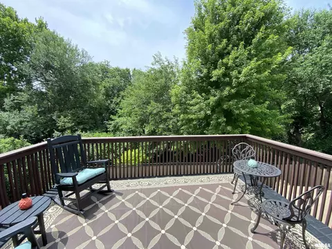 116 W Hillside Ct, Dunlap, IL 61525 photo 64
