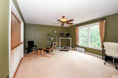 116 W Hillside Ct, Dunlap, IL 61525 photo 26