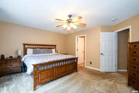 116 W Hillside Ct, Dunlap, IL 61525 photo 18